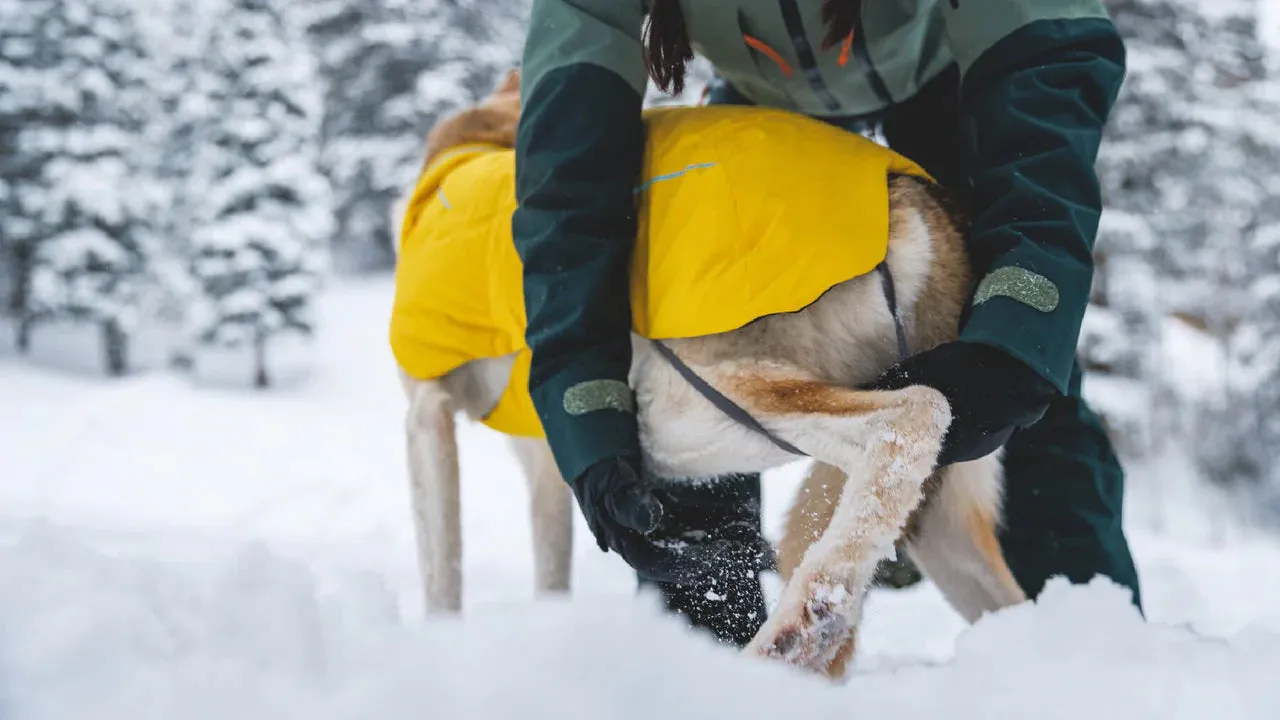 Ruffwear Vert™ Dog Jacket