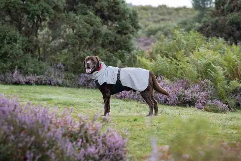 Rukka Pets Dog Shine Raincoat Reflect Grey