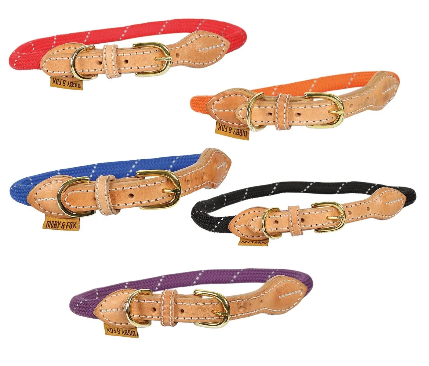 Shires Digby & Fox Reflective Dog Collar