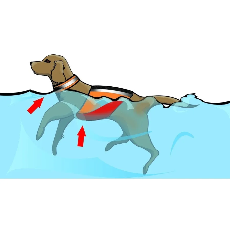 UNDERDOG